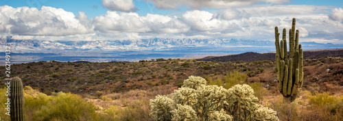 Φωτογραφία An epic winter storm brings welcome snow to the mountains and deserts of southern Arizona