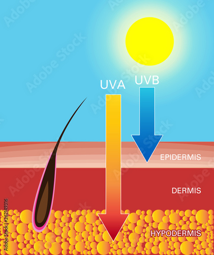 Skin compare , Protect both UVA and UVB