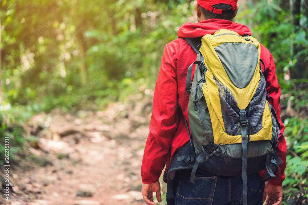 Asian travel handsome man hiking in forest and mountain enjoy walking in nature outdoors. Asian travel handsome man hiking in forest and mountain enjoy walking in nature outdoors.
