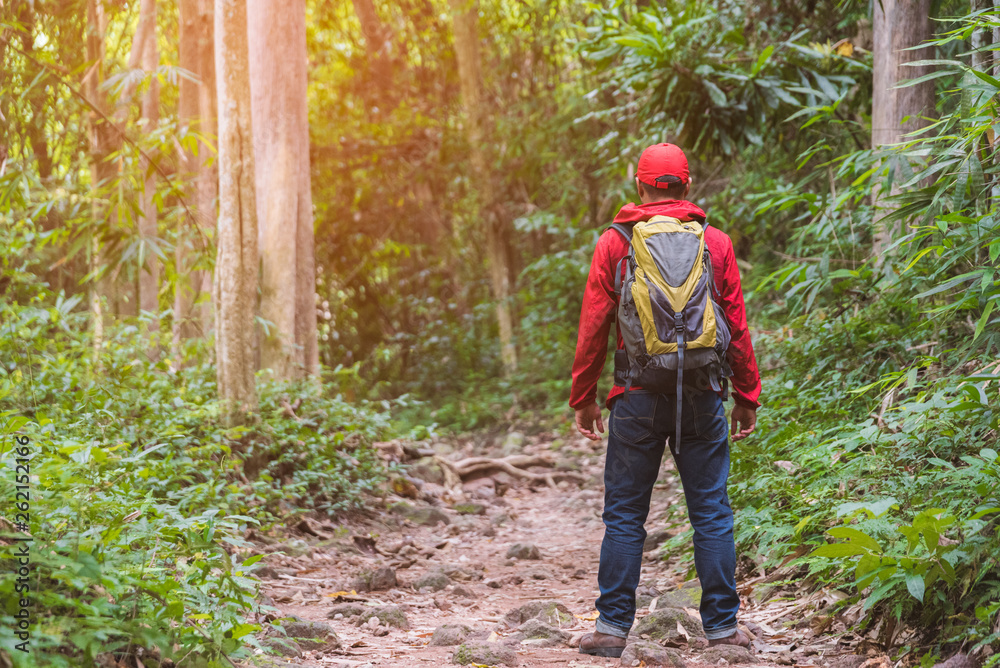 Asian travel handsome man hiking in forest and mountain enjoy walking in nature outdoors. Asian travel handsome man hiking in forest and mountain enjoy walking in nature outdoors.