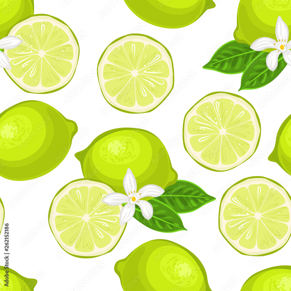 Lime  seamless pattern on white background. Vector illustration of citrus with green leaves and white flower in cartoon flat style.