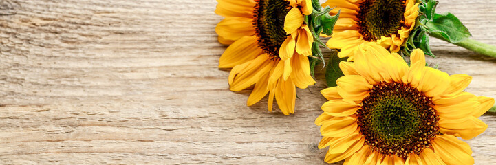 Sunflowers on wooden background.