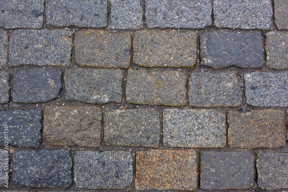 Moscow, Russia - April 16, 2019: Red Square. The texture of paving stones on the pavement Moscow, Russia - April 16, 2019: Red Square. The texture of paving stones on the pavement