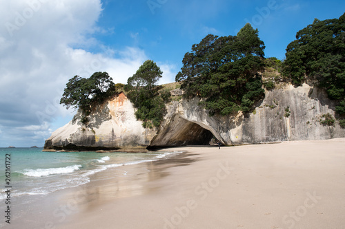 Trees growing out of the cliff face at Cathedral Cove