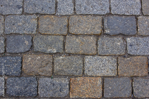 Moscow  Russia - April 16  2019  Red Square. The texture of paving stones on the pavement