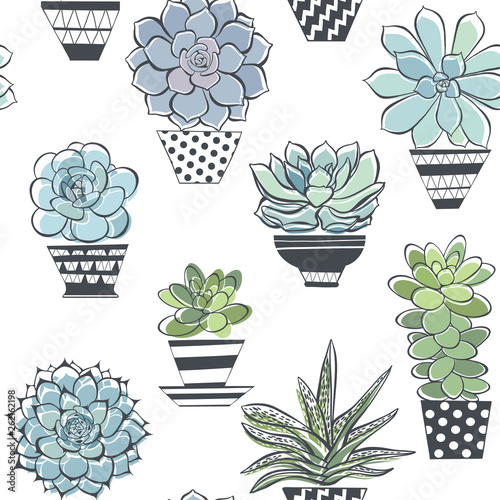 Seamless pattern with succulents in pots. Vector background.