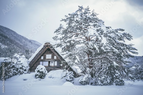 An ancient village in Shirakawago in Japan is a UNESCO World Heritage site. It's a famous place for sightseeing
