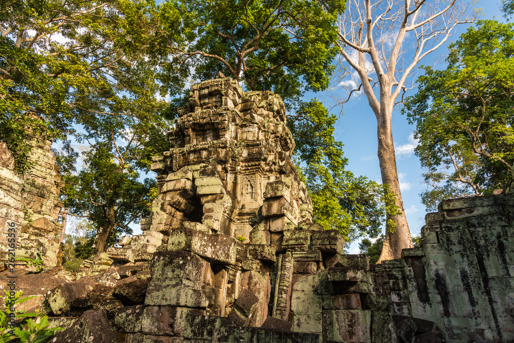 Fototapeta premium Ta Prohm in Angkor Archaeological Park in Cambodia