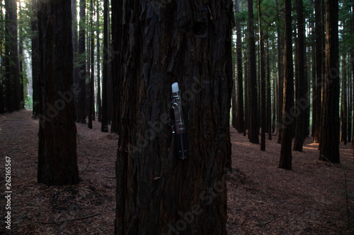 Lightsaber replica at redwood forest, Warburton photo