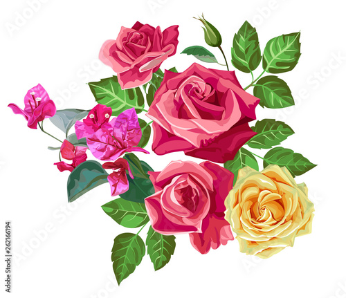 Rose bouquet vector illustration