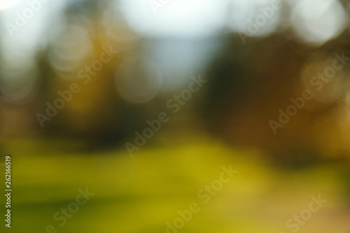 Abstract blurred nature background. Forest trees, Sunny day, sun glare, bokeh. Defocused backdrop for your design