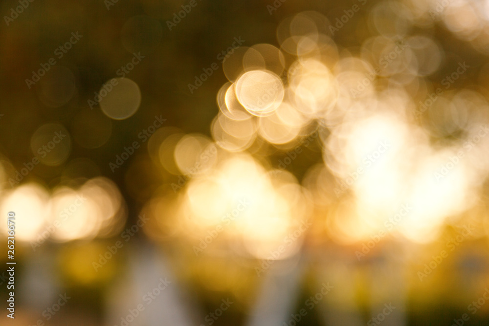 Abstract blurred nature background. Forest trees, Sunny day, sun glare, bokeh. Defocused backdrop for your design - obrazy, fototapety, plakaty 