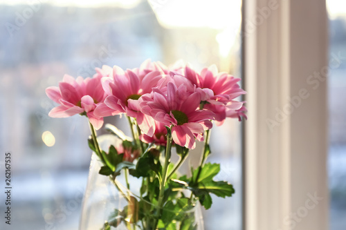 Beautiful flowers near window, closeup