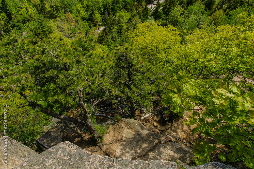 Beehive Trail in Acadia National Park in Maine, United States Beehive Trail in Acadia National Park in Maine, United States