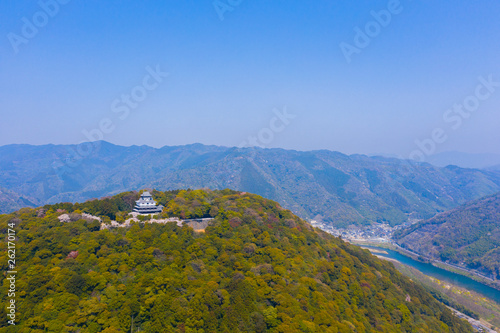 iwakuni castle in Japan photo