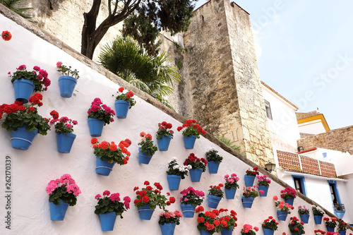 Fotografie Marbella Spain whitewashed old town flower pot wall display