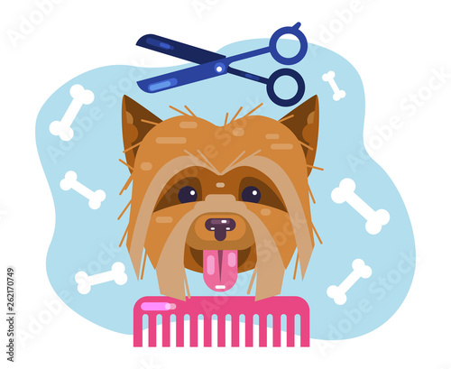 Dogs grooming. Haircut puppy. Salon for animals