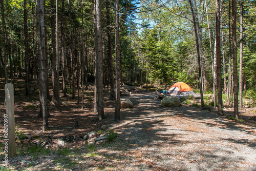 Obraz na plátně Blackwoods Campground in Acadia National Park in Maine, United States