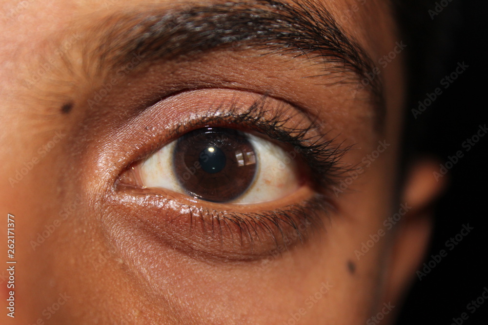 Obraz premium Human Eye