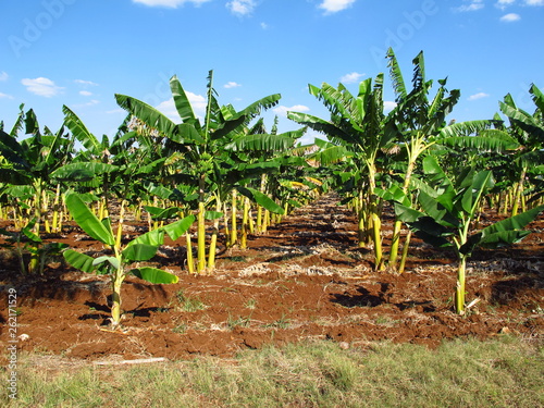 Fényképezés Camaguey, Cuba