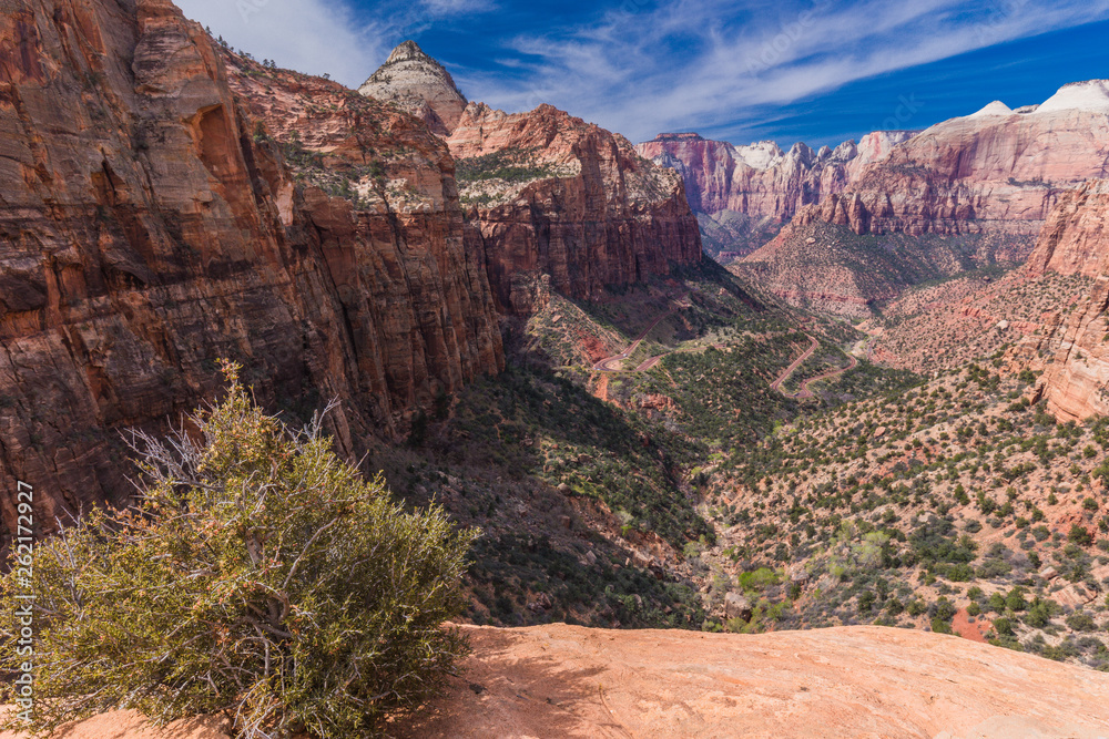 Naklejka premium Canyon Overlook Trail in Zion National Park in Utah, United States