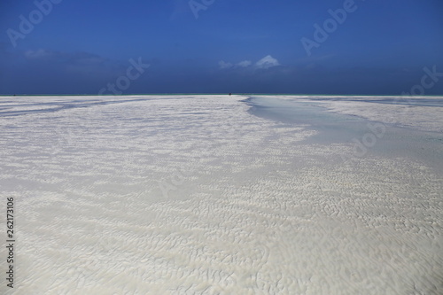 Amazing beach with white sand in Zanzibar Tanzania