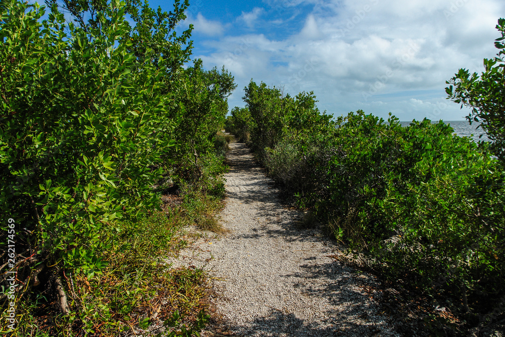 Convoy Point Trail in Biscayne National Park in Florida, United States