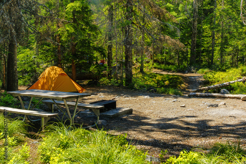 Cougar Rock Campground in Mount Rainier National Park in Washington, United States