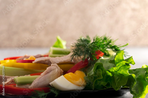 Ingredients for burrito, traditional mexican food. Fresh vegetables with boiled meat and egg, lettuce with green dill. Place to copy.