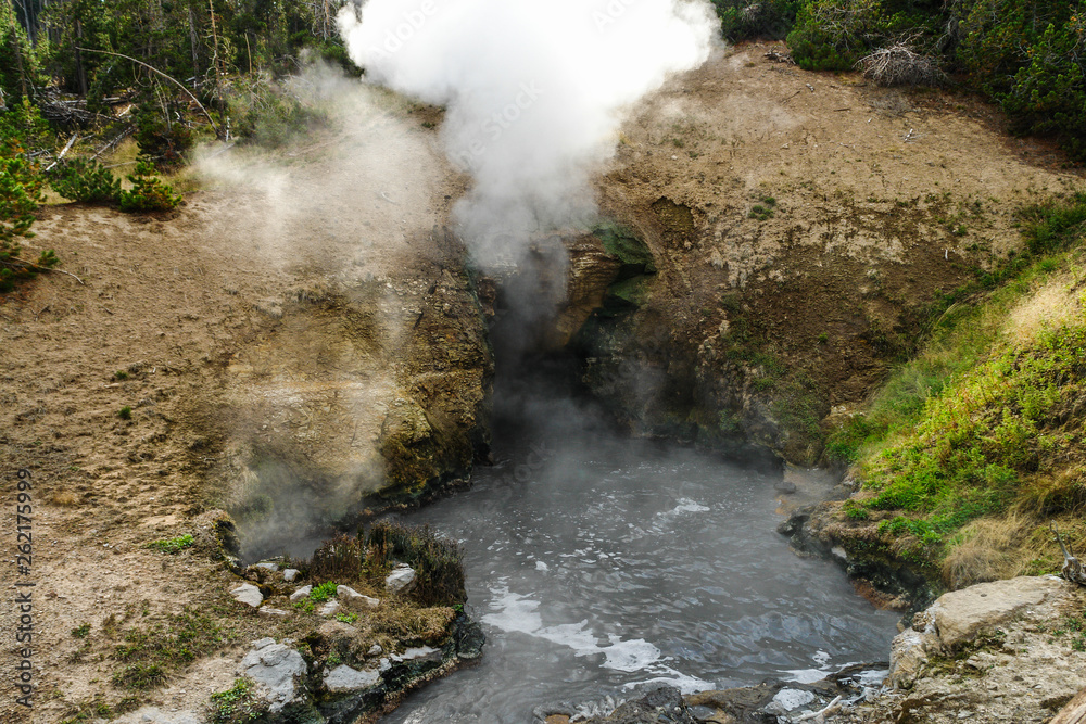 Dragon's Mouth Spring in Yellowstone National Park in Wyoming, United States Dragon's Mouth Spring in Yellowstone National Park in Wyoming, United States