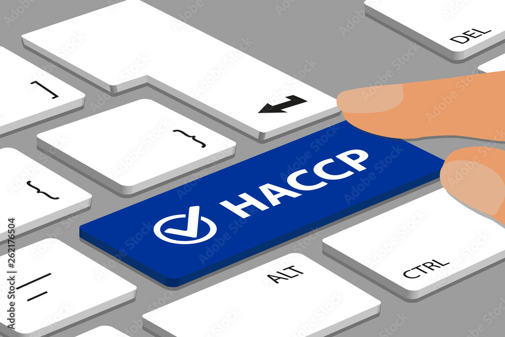 HACCP Button With Check Mark On Laptop Keyboard With Fingers - Vector Illustration HACCP Button With Check Mark On Laptop Keyboard With Fingers - Vector Illustration