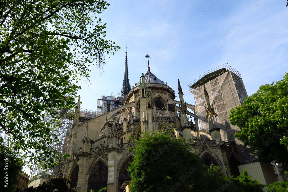 Obraz premium Notre Dame de Paris. Échafaudages. 15-04-2019