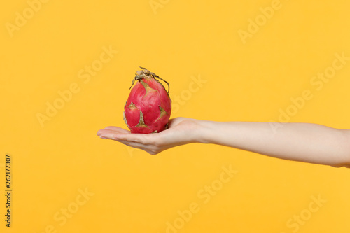 Close up cropped photo of female hold in hands fresh ripe pitahaya, dragon fruit isolated on yellow orange wall background in studio. Proper healthy nutrition, vitamins concept. Mock up copy space.