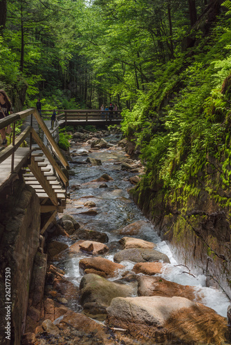 Flume Gorge in Franconia Notch State Park in New Hampshire  United States