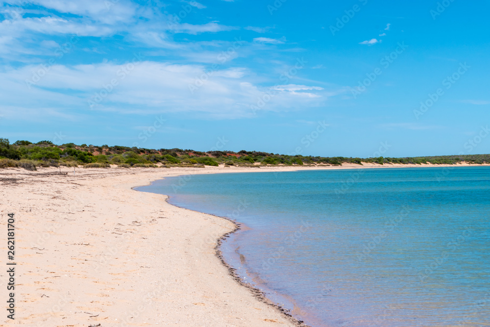 Empty long beach at Shark Bay in Western Australia Empty long beach at Shark Bay in Western Australia