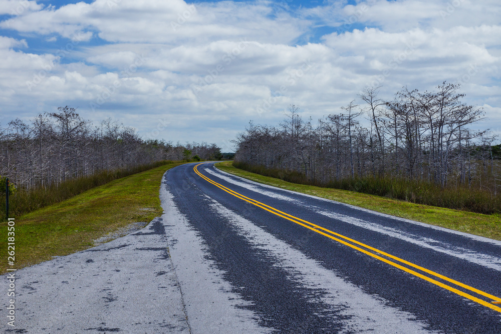 Fototapeta premium Main Park Road in Everglades National Park in Florida, United States