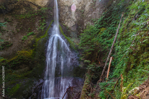 Marymere Falls in Olympic National Park in Washington, United States photo