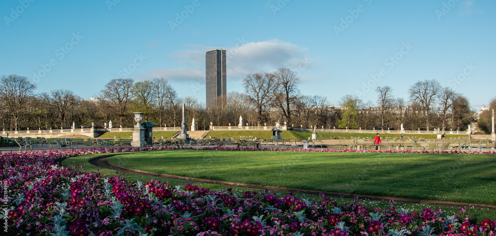 Fototapeta premium Parigi, Francia, Tour Eiffel, Notre Dame, viaggio, 