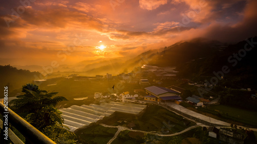 Cameron Highland at state of Pahang  Malaysia