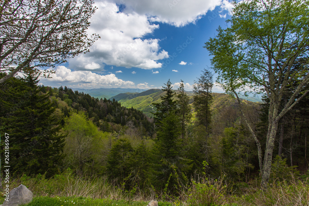 Newfound Gap in Great Smoky Mountains National Park in Tennessee, United States