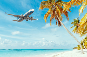Airplane landing at resort