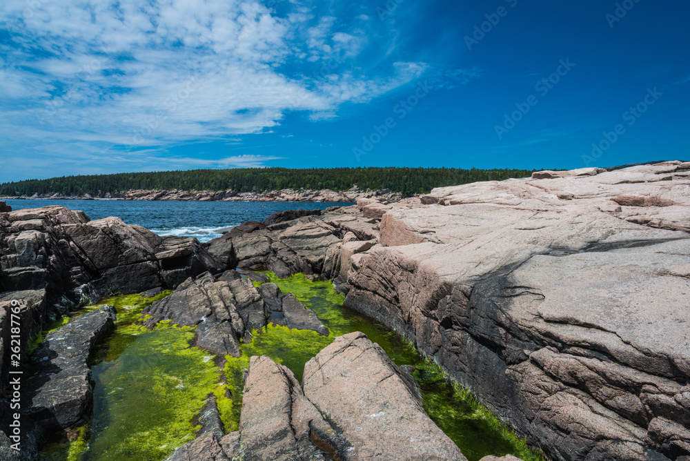 Otter Point in Acadia National Park in Maine, United States