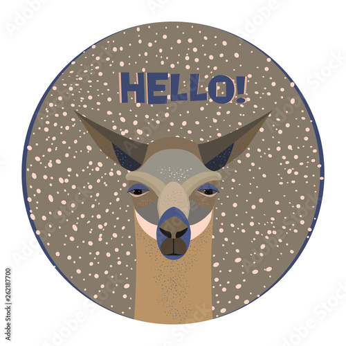 Lama logo template. Background for zoo, tourism, souvenir, invitation card, advertising. Stylized animal character of South America. Lama, vicuna, alpaca, guanaco. The inscription HELLO. Vector