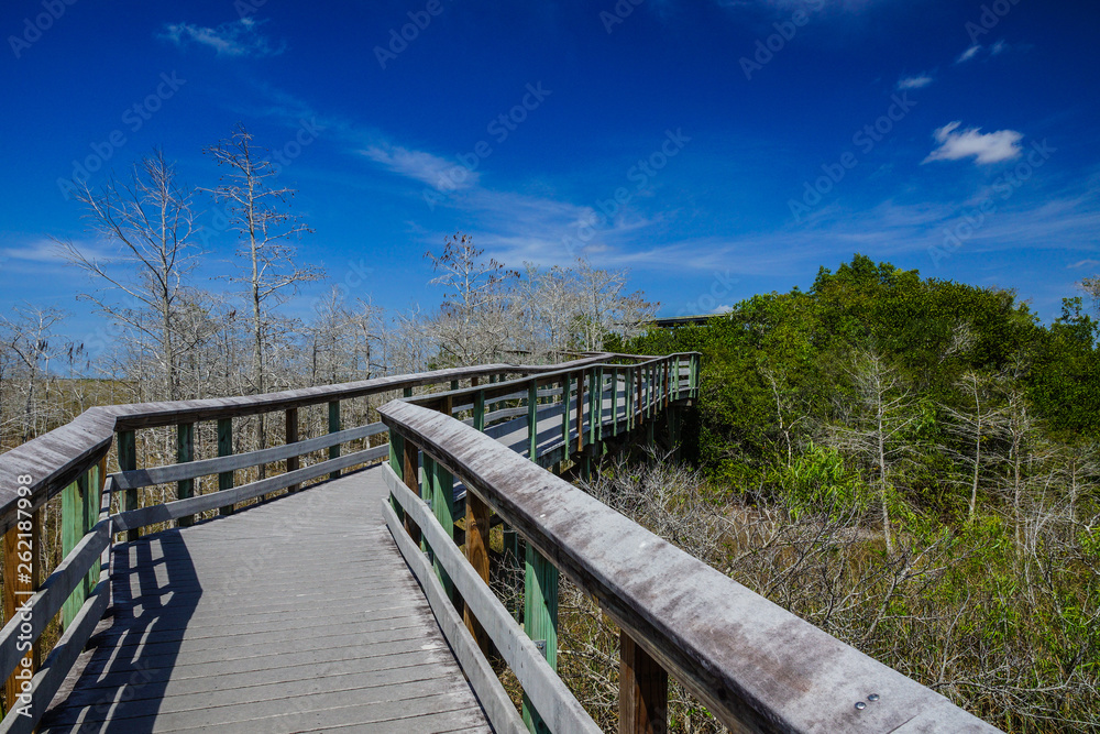 Naklejka premium Pa-Hay-Okee in Everglades National Park in Florida, United States