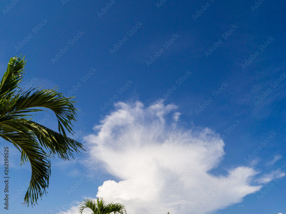 Fototapeta premium Beautiful, cumulus clouds in the blue sky