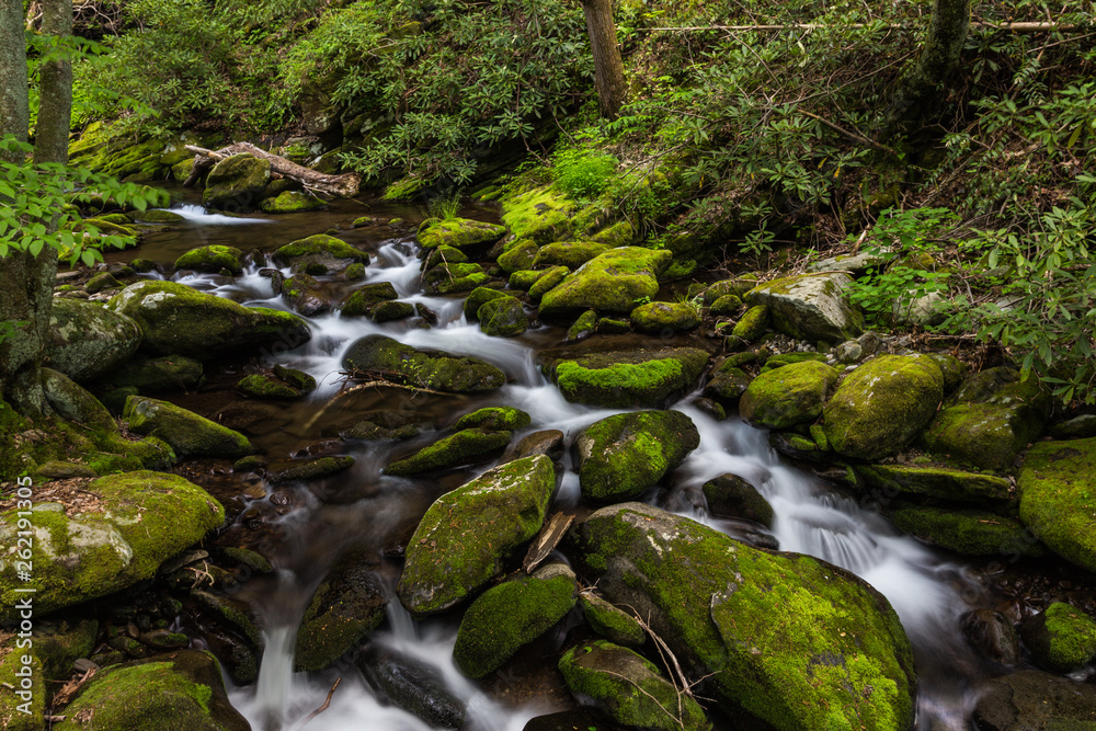 Roaring Fork in Great Smoky Mountains National Park in Tennessee, United States