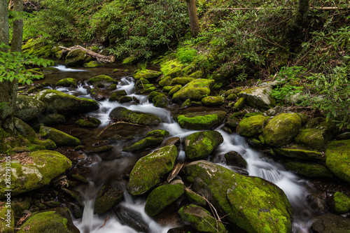 Fototapeta Naklejka Na Ścianę i Meble -  Roaring Fork in Great Smoky Mountains National Park in Tennessee, United States