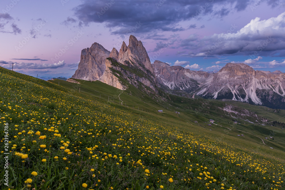 Stunning view of Dolomite mountain and wildflower field in summer at Seceda peak, Italy.