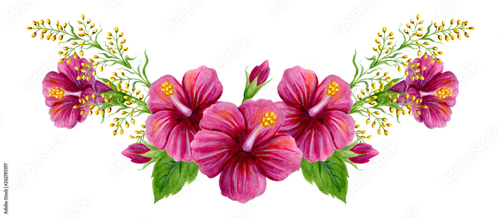 Hand drawn watercolor painting  with pink Chinese Hibiscus rose flowers isolated on white background