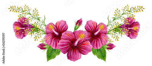 Hand drawn watercolor painting with pink Chinese Hibiscus rose flowers isolated on white background